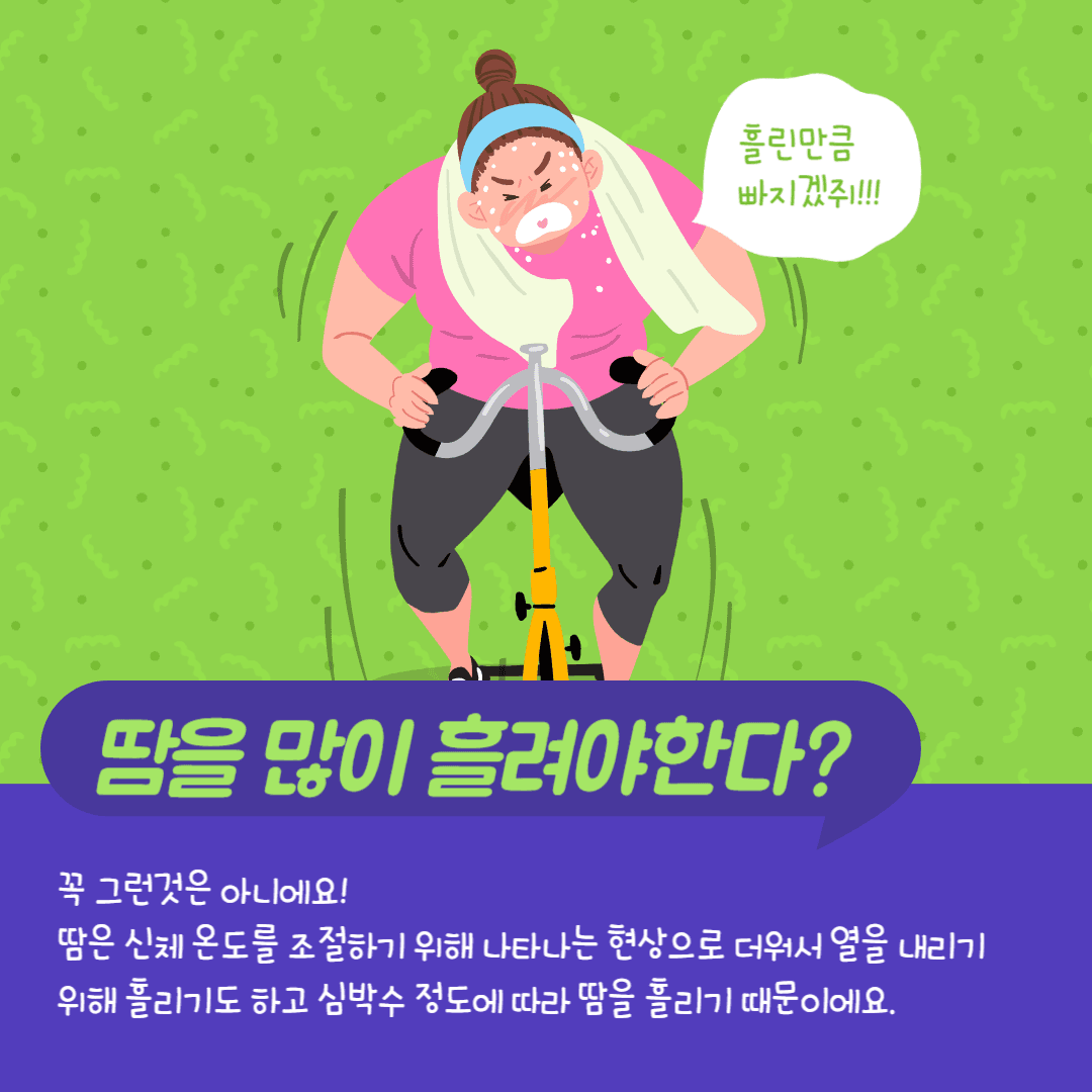 다이어트 팩트체크
