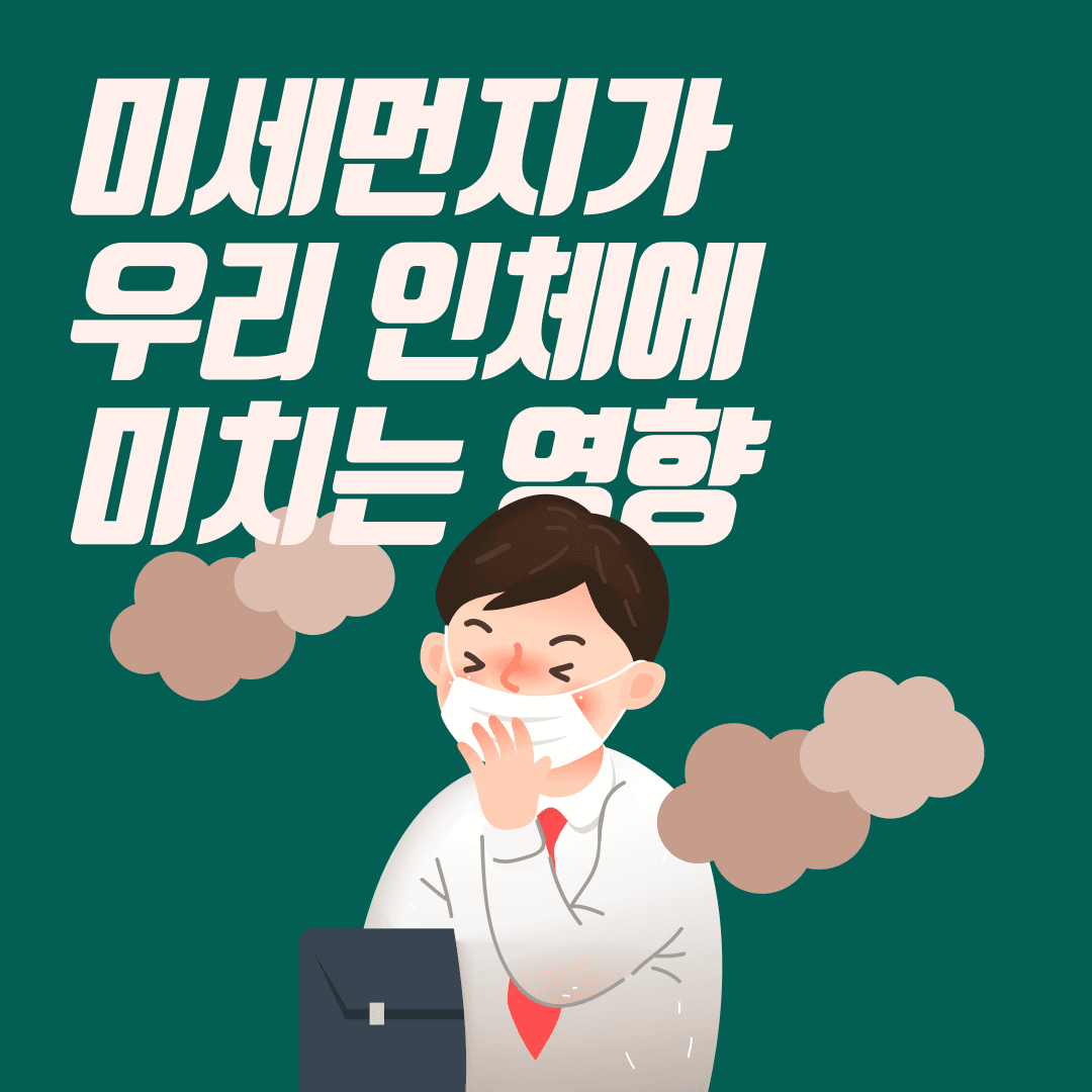 미세먼지가 우리 인체에 미치는 영향