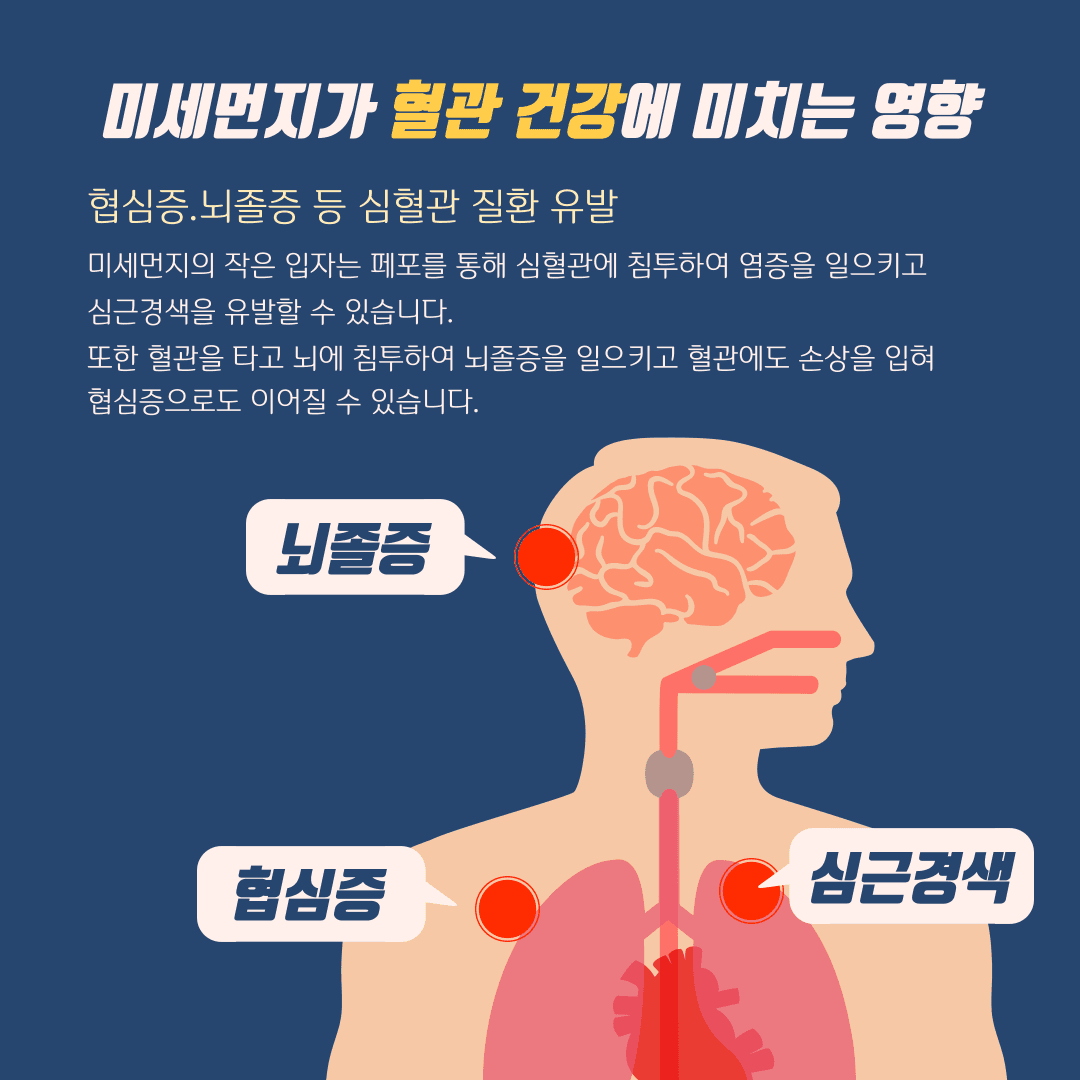 미세먼지가 우리 인체에 미치는 영향